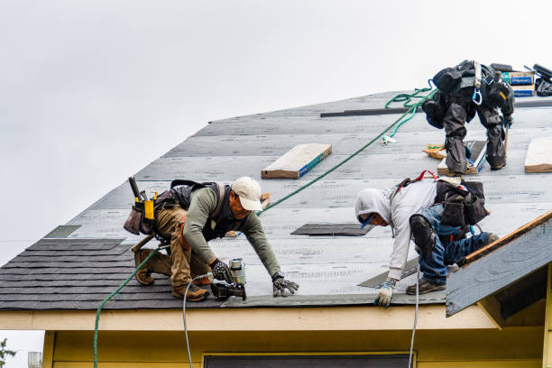 Professional Emergency Roof Repair technician working in Pisgah Forest, NC